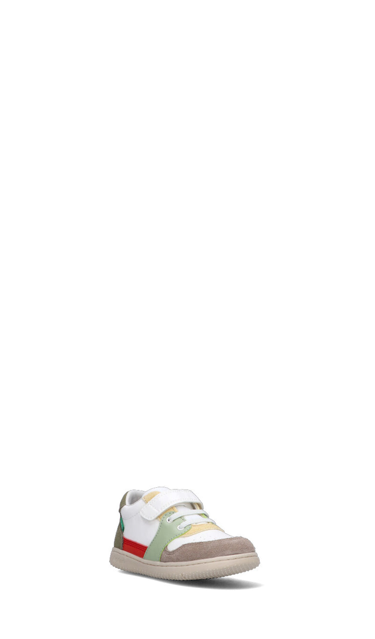 KICKERS Sneaker bimbo multicolor in suede