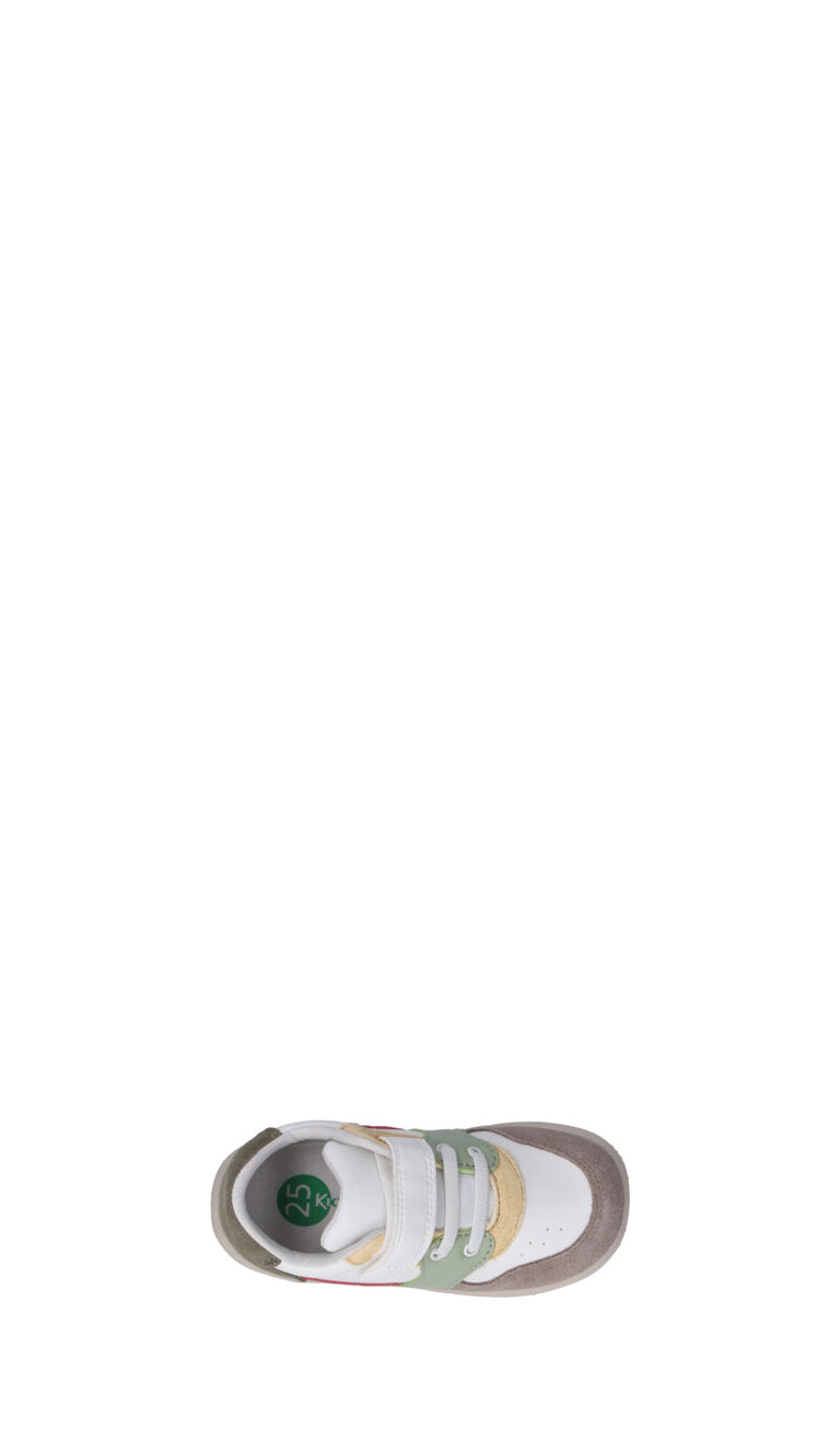 KICKERS Sneaker bimbo multicolor in suede