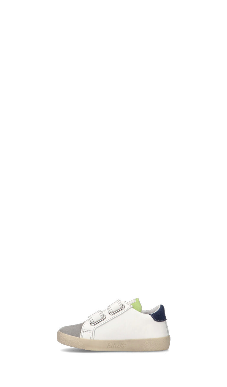 FALCOTTO Sneaker bimba