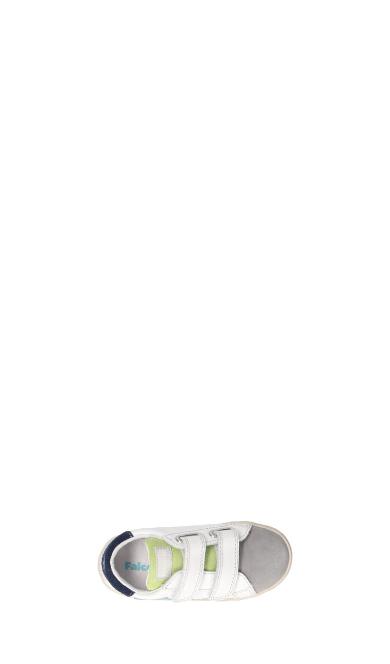 FALCOTTO Sneaker bimba
