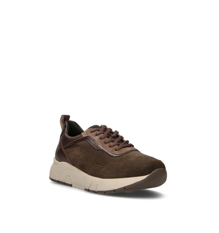 STONEFLY Sneaker uomo marrone in suede
