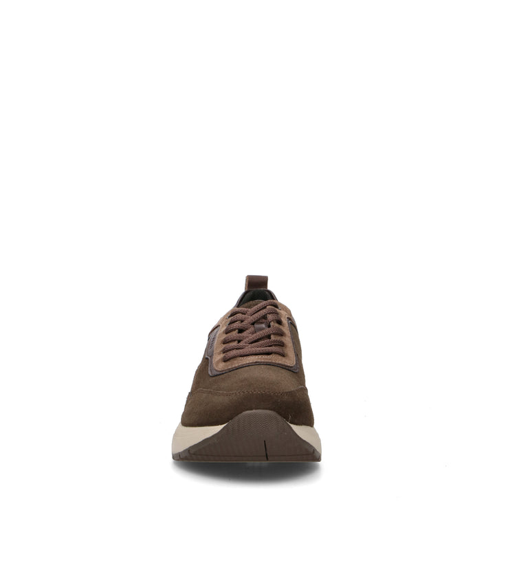 STONEFLY Sneaker uomo marrone in suede