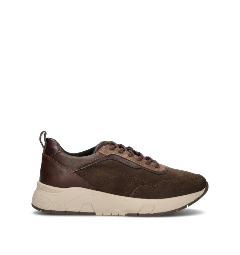 STONEFLY Sneaker uomo marrone in suede