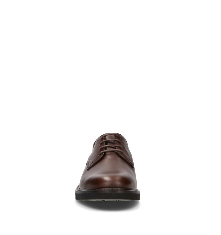 ECCO Stringata uomo marrone in pelle