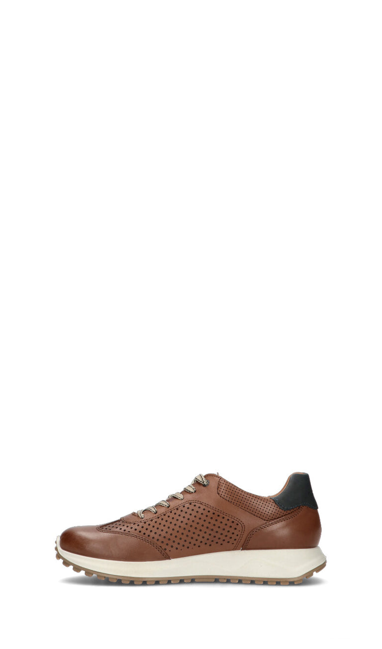 IGI&CO Sneaker uomo tabacco in pelle