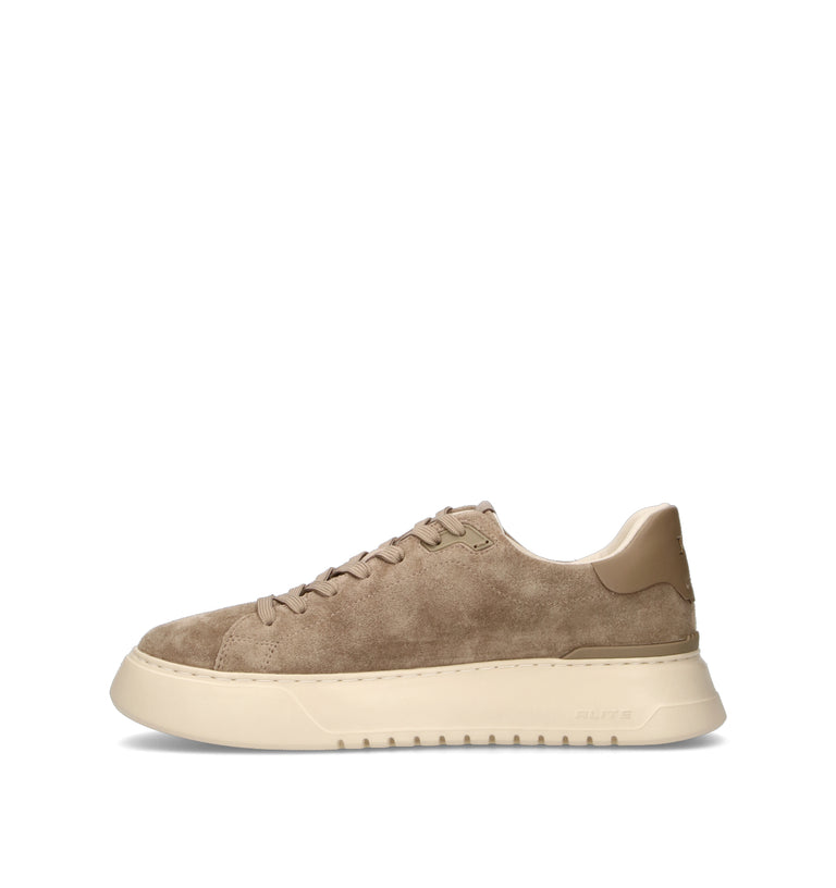 POLO SPORT Sneaker uomo taupe in suede