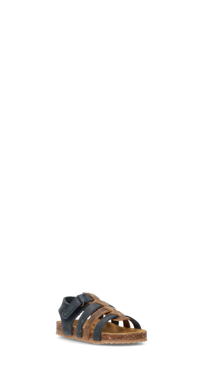 PLAKTON