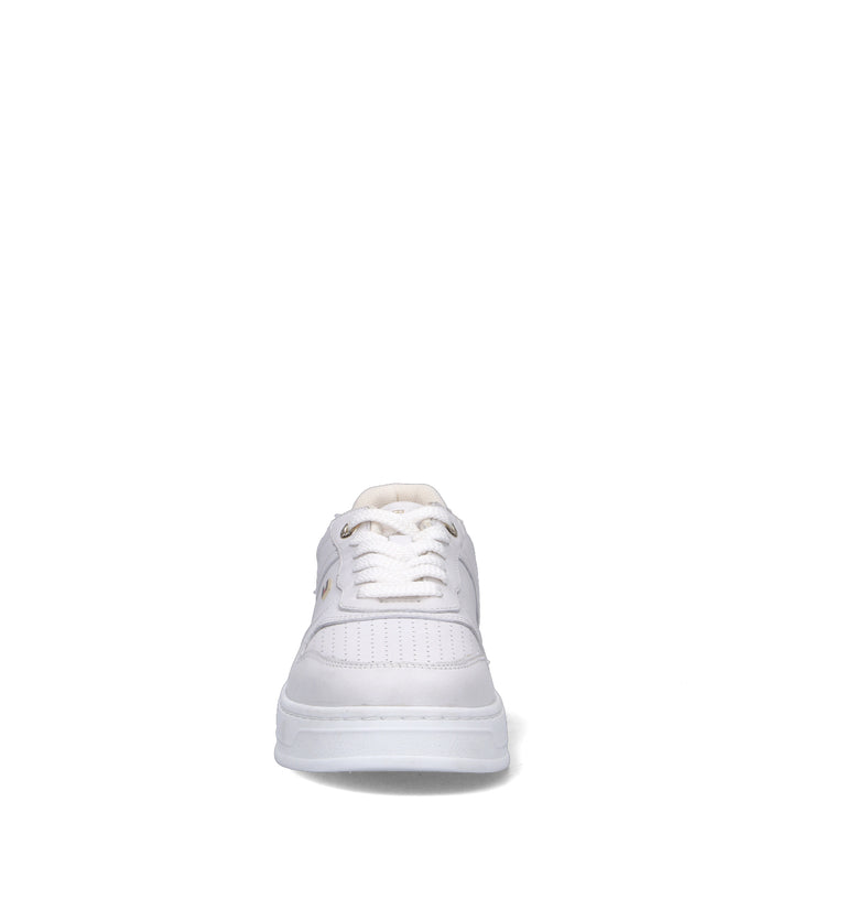TOMMY HILFIGER Sneaker donna