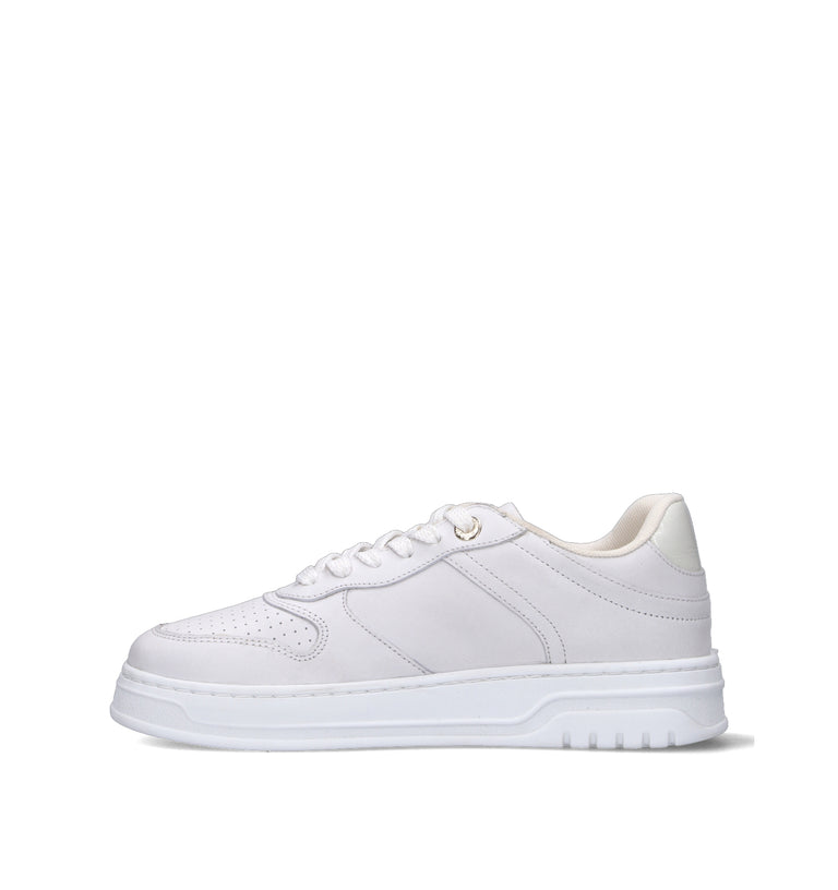 TOMMY HILFIGER Sneaker donna