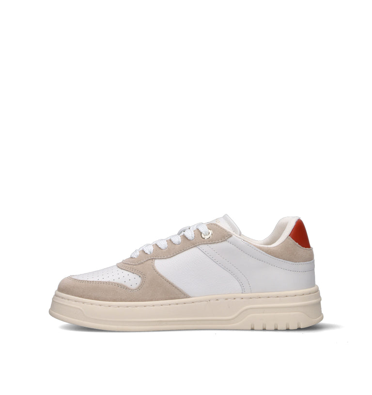 TOMMY HILFIGER Sneaker donna