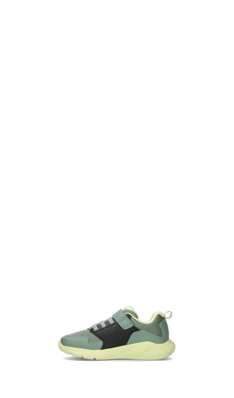 GEOX Sneaker bimbo
