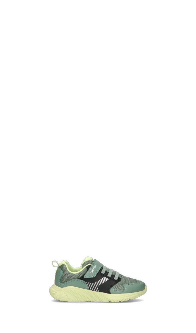 GEOX Sneaker bimbo