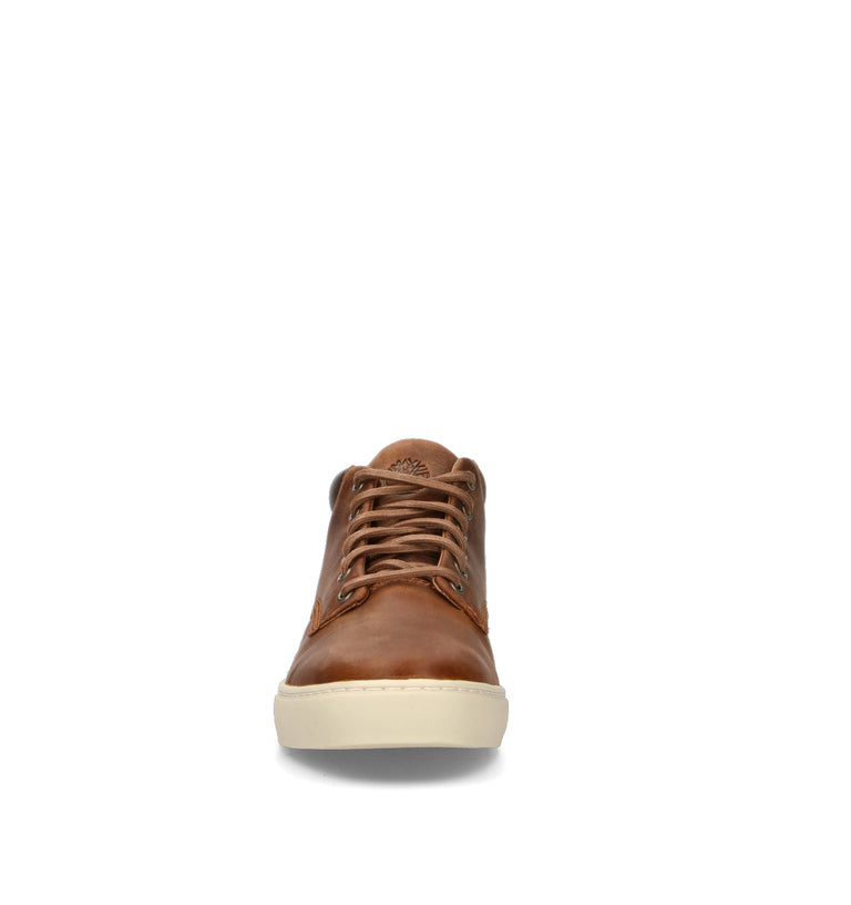 TIMBERLAND Polacco uomo