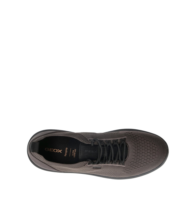 GEOX Sneaker uomo marrone