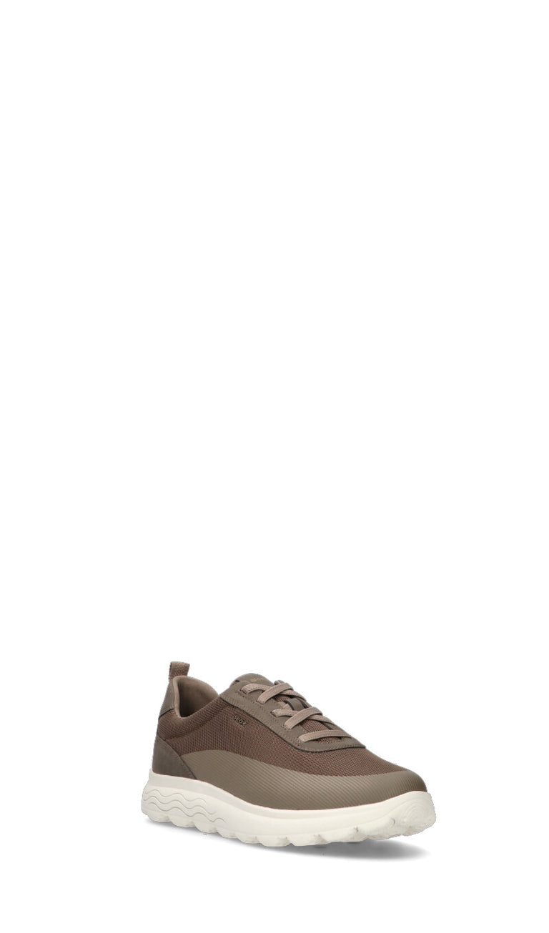 GEOX Sneaker uomo grigia
