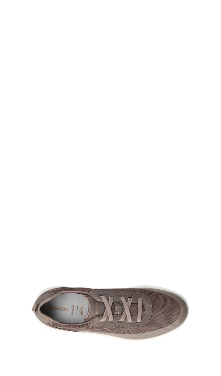 GEOX Sneaker uomo grigia