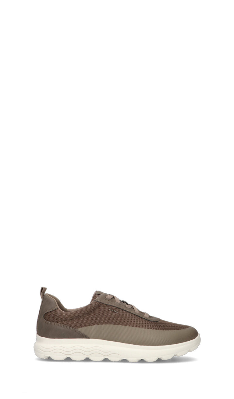 GEOX Sneaker uomo grigia