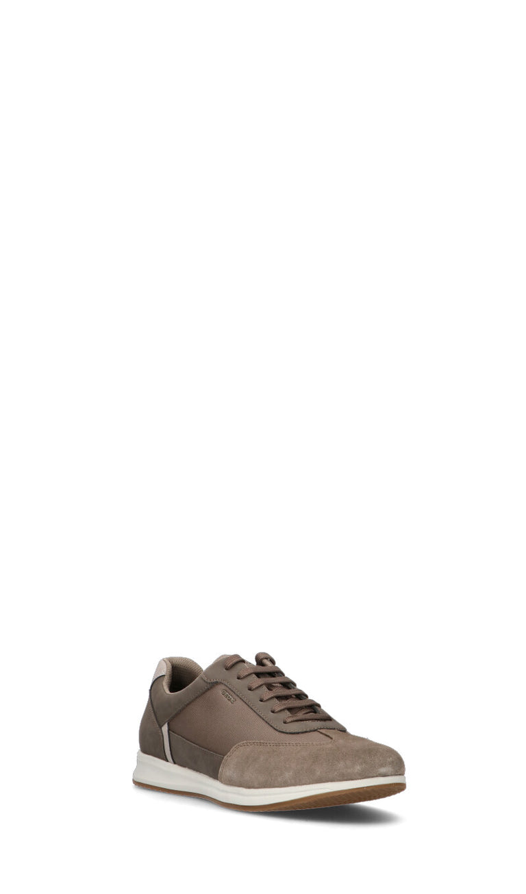 GEOX Sneaker uomo grigia