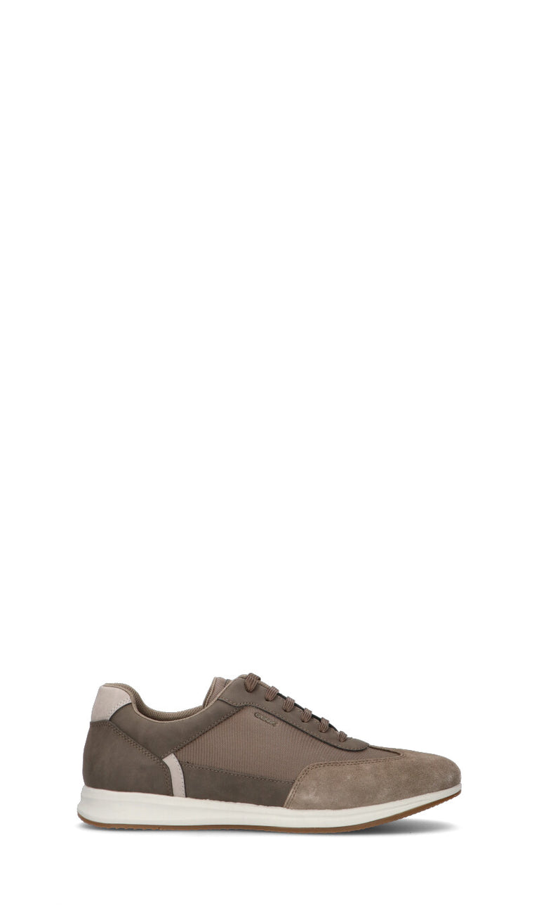 GEOX Sneaker uomo grigia