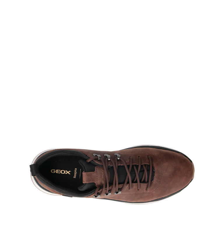 GEOX Sneaker uomo marrone waterproof