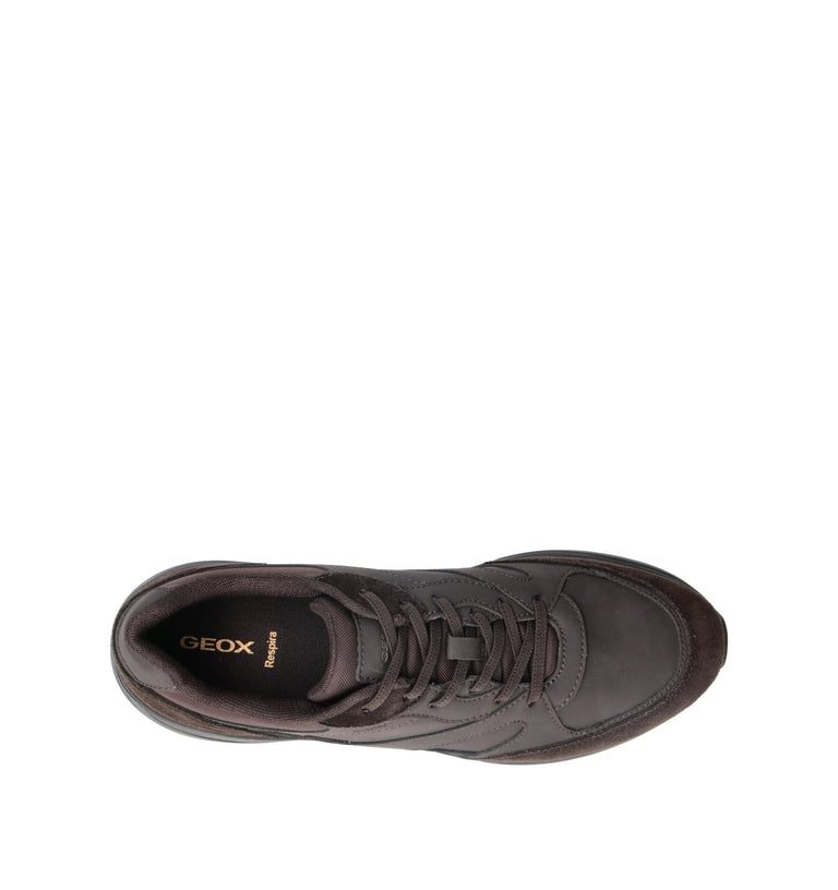 GEOX Sneaker uomo marrone