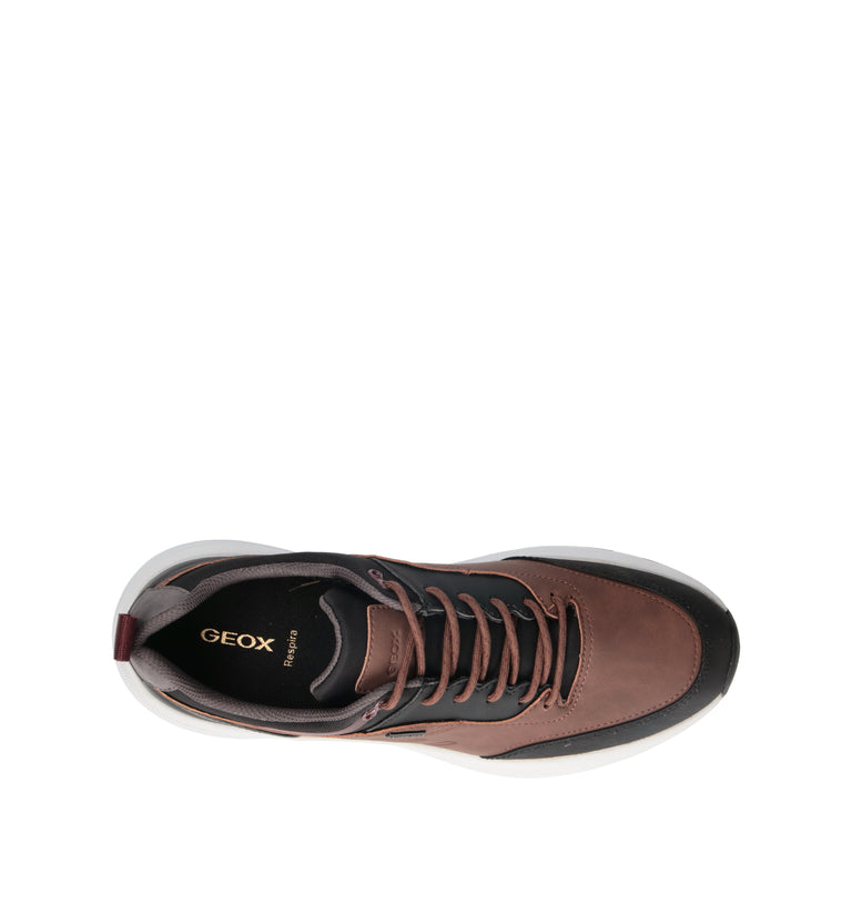 GEOX Sneaker uomo nera/marrone