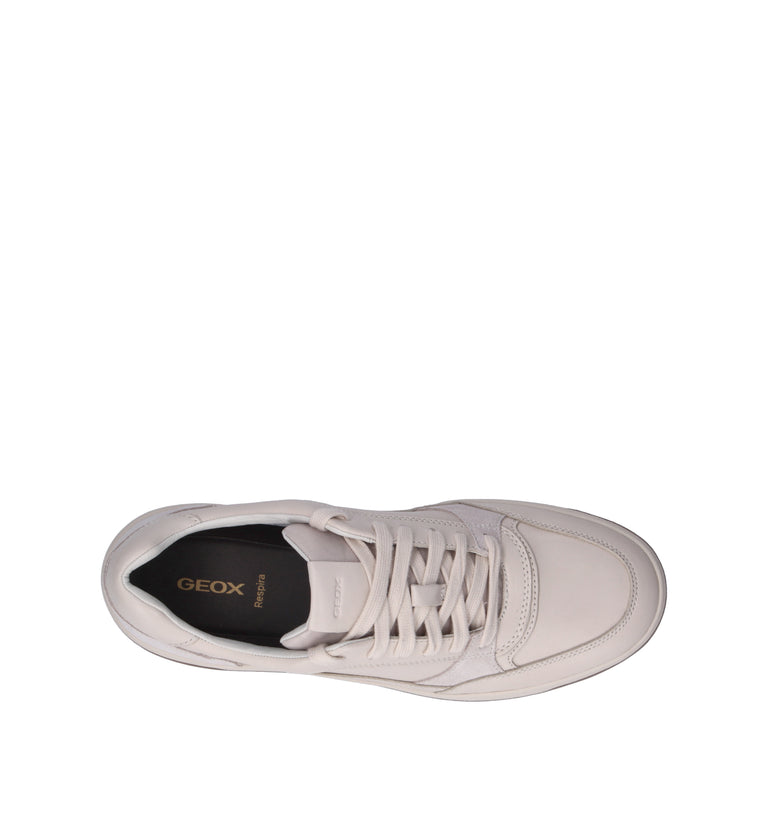 GEOX Sneaker uomo papiro in pelle