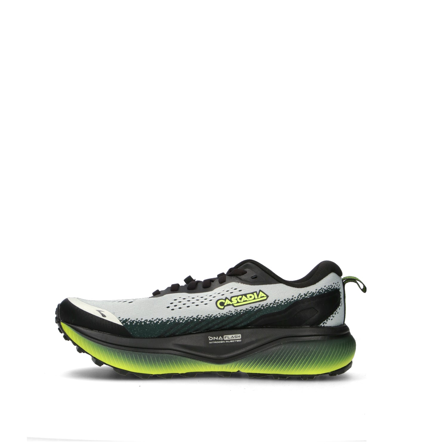 BROOKS CASCADIA 20 Scarpa running uomo