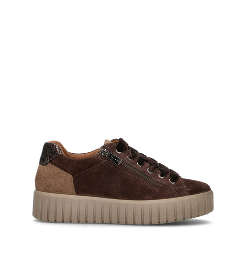 IGI&CO Sneaker donna testa di moro in suede