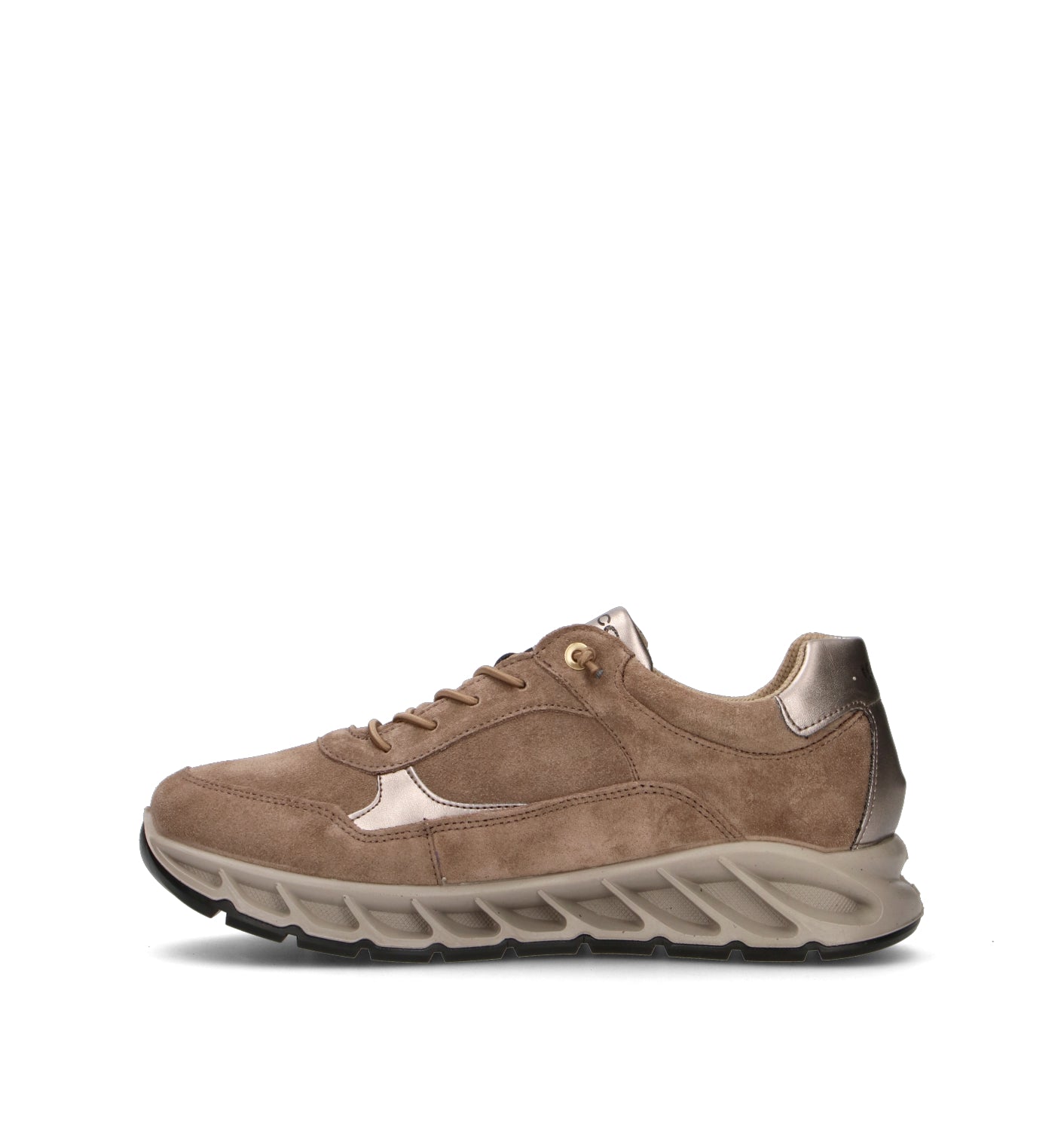 IGI&CO Sneaker donna taupe in gore-tex