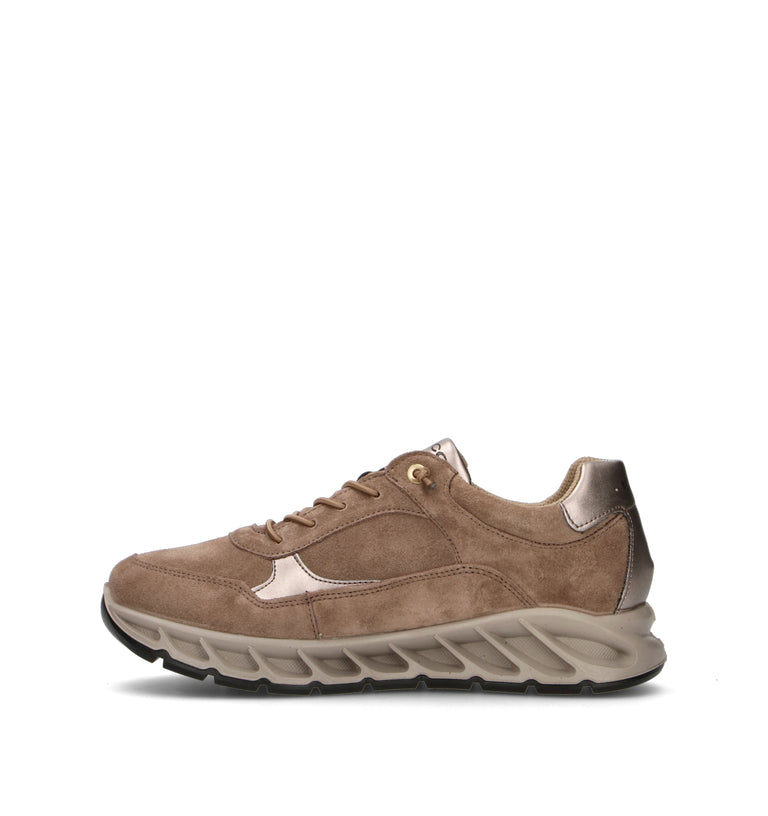 IGI&CO Sneaker donna taupe in gore-tex