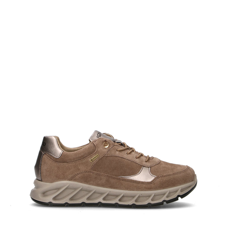 IGI&CO Sneaker donna taupe in gore-tex