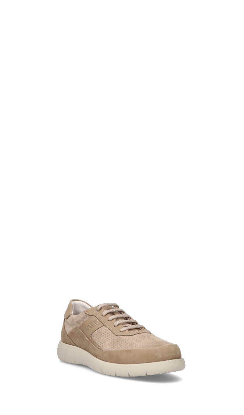 STONEFLY