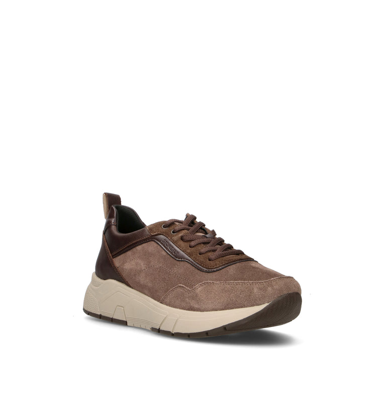STONEFLY Sneaker uomo marrone in suede