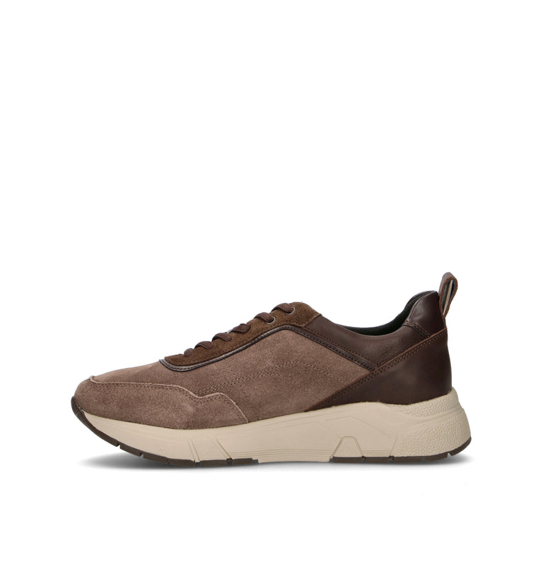 STONEFLY Sneaker uomo marrone in suede