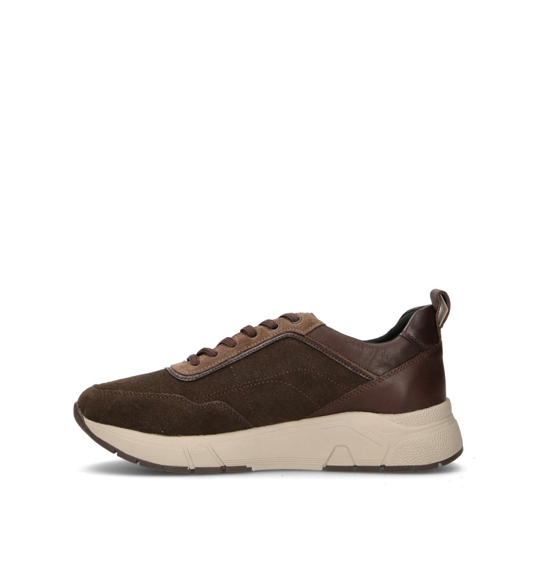 STONEFLY Sneaker uomo marrone in suede