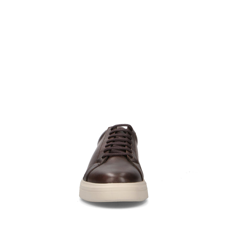 STONEFLY Sneaker uomo marrone in pelle