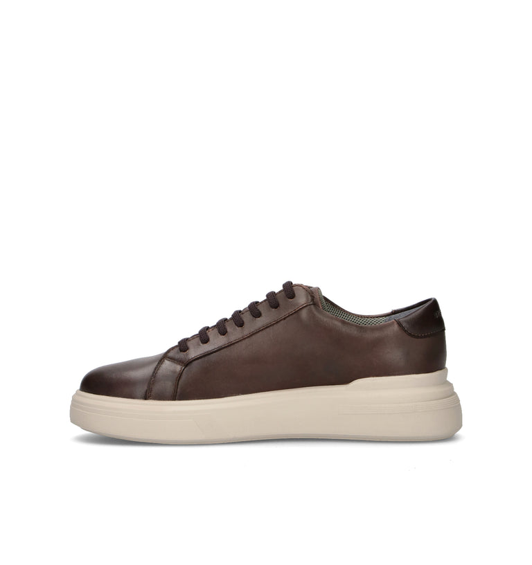 STONEFLY Sneaker uomo marrone in pelle