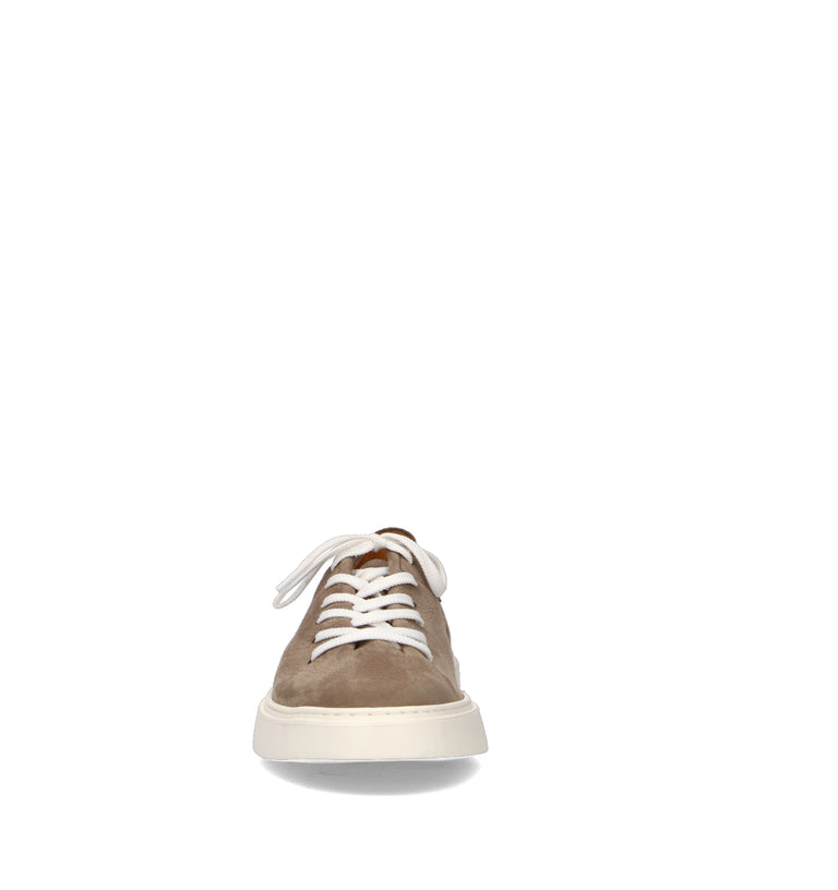 PAWELK'S Sneaker uomo tan in nabuk