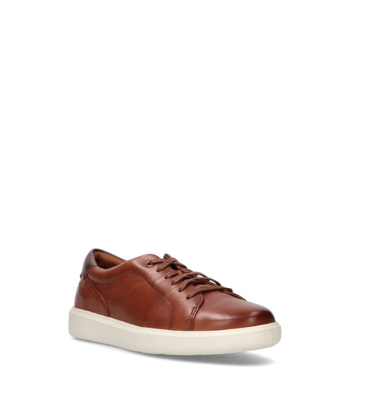 CLARKS ESSENTIALS Sneaker uomo marrone