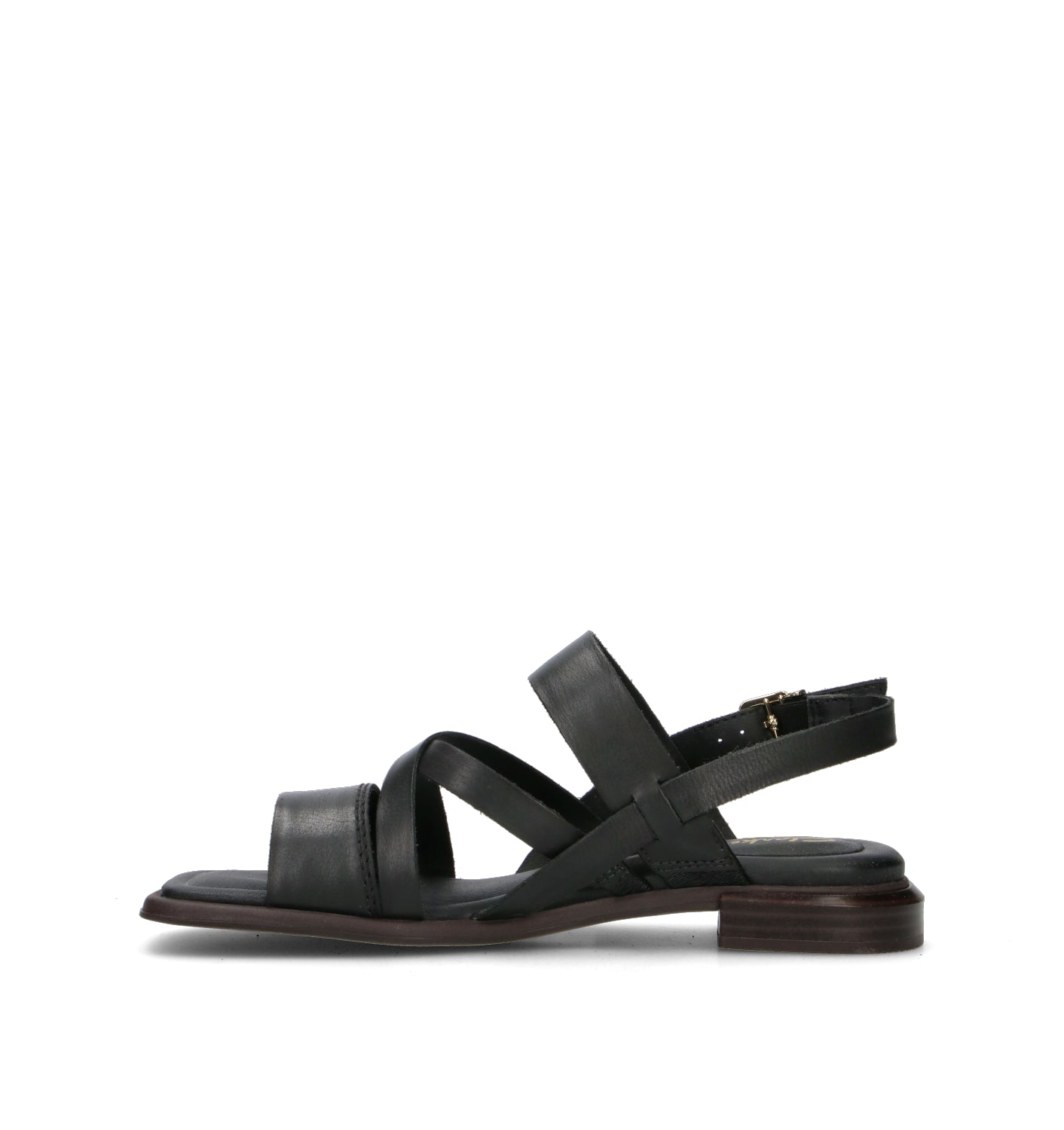 CLARKS CORE ARIANY STRAP Sandalo donna