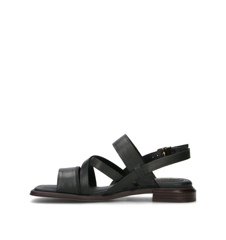 CLARKS CORE ARIANY STRAP Sandalo donna