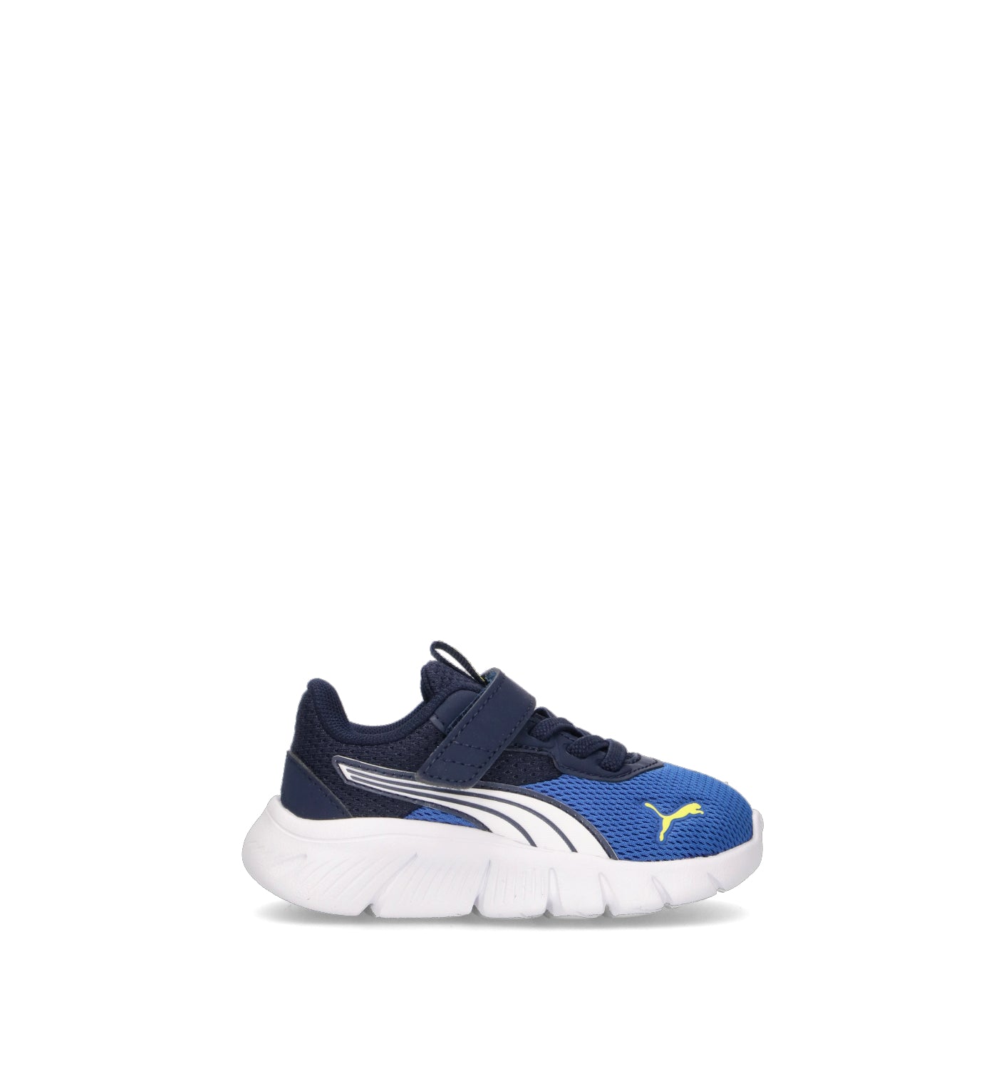 PUMA FLEXFOCUS MODERN AC + INF Sneaker bimbo blu