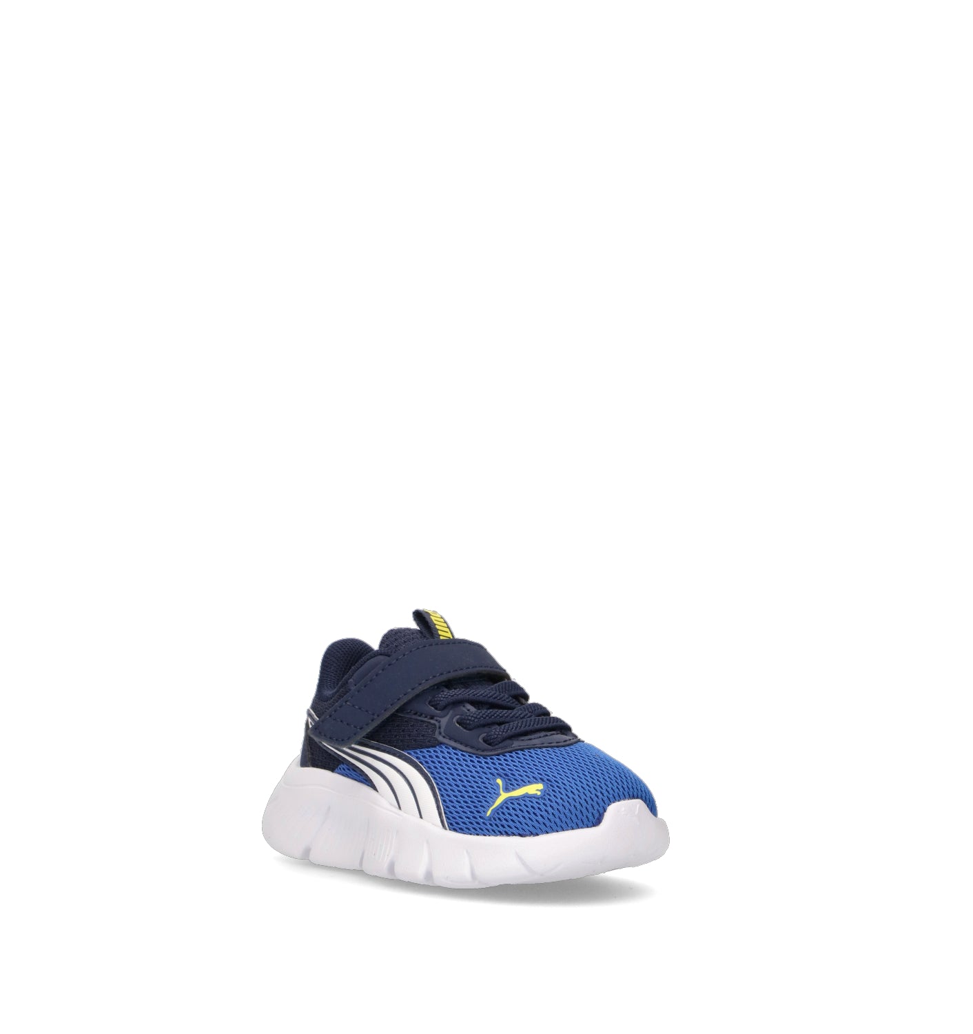 PUMA FLEXFOCUS MODERN AC + INF Sneaker bimbo blu