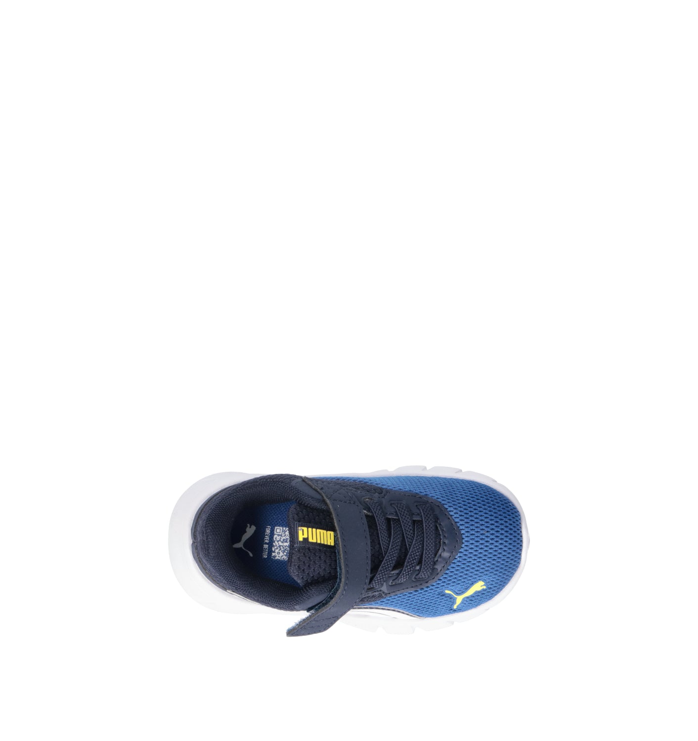 PUMA FLEXFOCUS MODERN AC + INF Sneaker bimbo blu