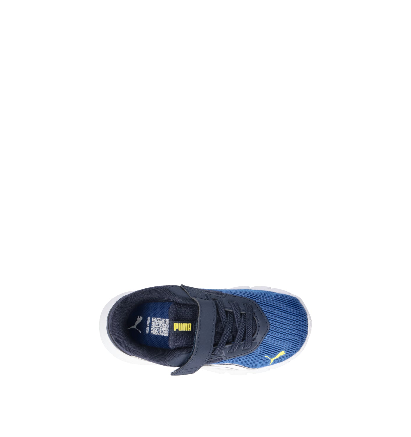 PUMA FLEXFOCUS MODERN AC + INF Sneaker bimbo blu