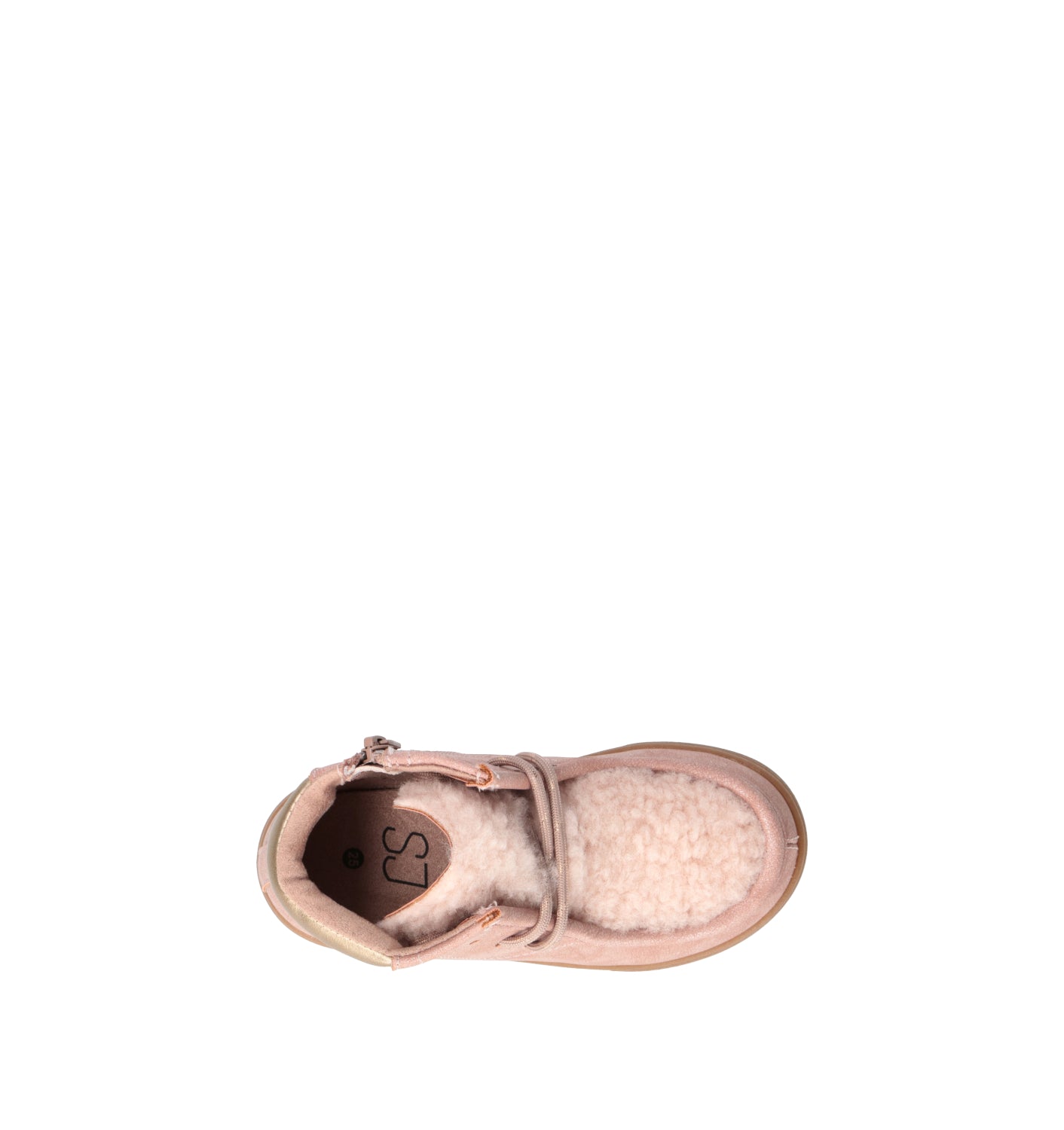 SJ Polacco bimba