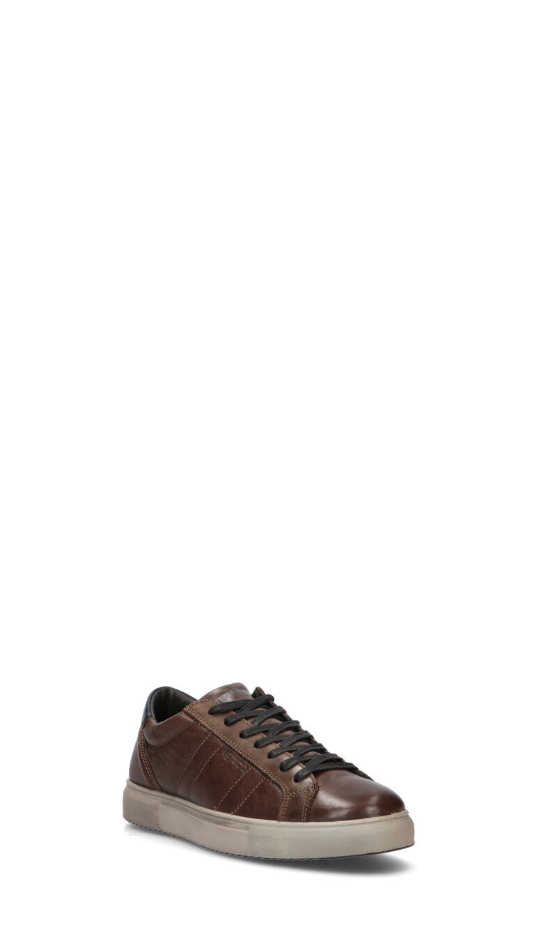 IGI&CO Sneaker uomo caffè in pelle