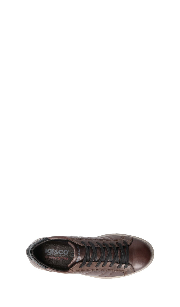 IGI&CO Sneaker uomo caffè in pelle