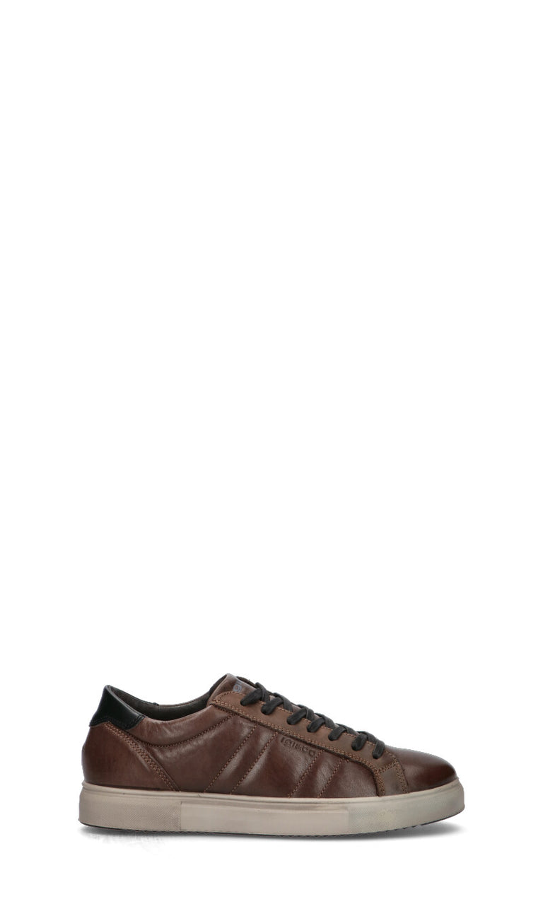 IGI&CO Sneaker uomo caffè in pelle
